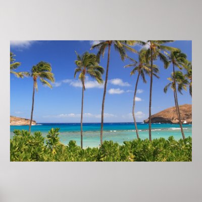Hanauma Bay, Hawaii and Trees Print by glennrymsza