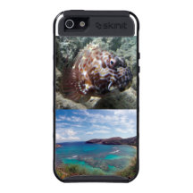 Hanauma Bay Hawaii iPhone 5 Cases