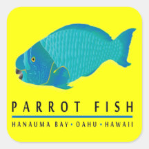 Hanauma Bay Hawaii - Parrot Fish Square Sticker