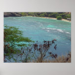 Hanauma Bay Hawaii posters