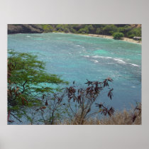 Hanauma Bay Hawaii Posters