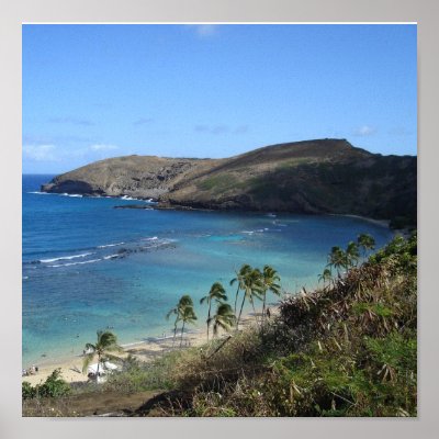 Hanauma Bay hawaii Poster by jblare