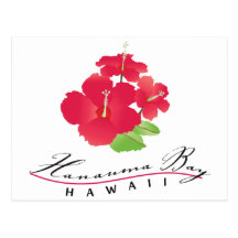 Hanauma Bay Hawaii - Red Hibiscus Flower Post Card