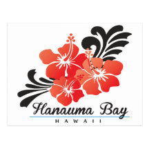Hanauma Bay Hawaii - Red Hibiscus Flower Post Cards