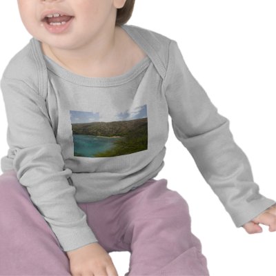 Hanauma Bay Hawaii T-shirt by jbranam