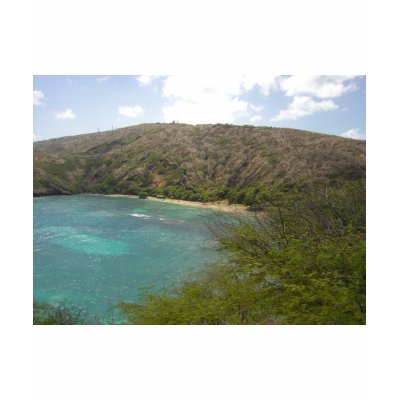 Hanauma Bay Hawaii T Shirt by jbranam