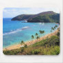 Hanauma Bay, Honolulu, Oahu, Hawaii View Mousepads