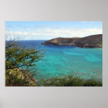 Hanauma Bay in Oahu Poster posters