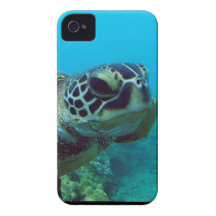 Hanauma Bay - Oahu hawaii iPhone 4 Case-Mate Case