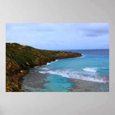 hanauma bay oahu posters by engagedesign