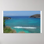 Hanauma Bay Poster posters