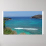 Hanauma Bay Poster