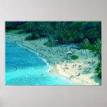 Hanauma Bay Shoreline Poster