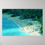 Hanauma Bay Shoreline Poster posters