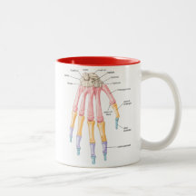 Hand bones Mug
