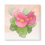 Hand drawn pink begonias magnet