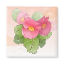 Hand drawn pink begonias magnets