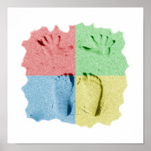 Hand Feet Prints in sand four colour
