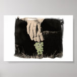 hand holding grapes posters