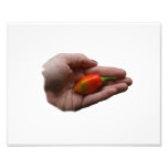 Hand Holding One habanero Hot Pepper Photo Print