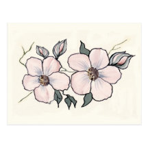 Hand Painted Blossoms Post Cards