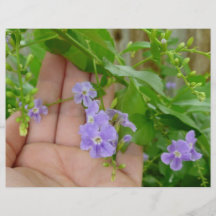 Hand, purple flowers, leaves full color flyer