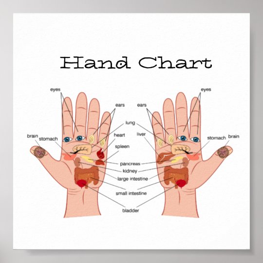 Hand Reflexology Chart Zazzle Ca