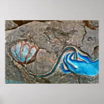 Hand with Lotus/Poster