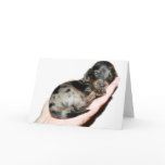 Handful Card