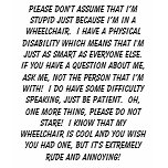 Handicapped people aren't stupiid t-shirts