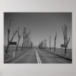 Handicapped trees posters