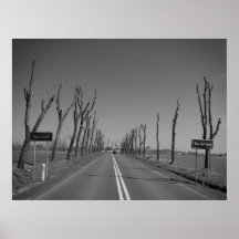 Handicapped trees posters