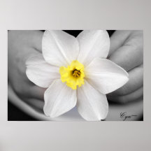 Handle With Care, Cyn~ Print