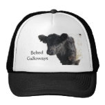 Handsome Belted Galloway Steer Mesh Hats