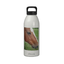 handsome horse reusable water bottles