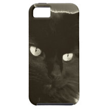 Handsome Prince beautiful black cat iPhone 5 Covers
