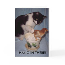 HANG IN THERE!