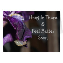 Hang In There & Feel Better Soon Cards