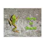 Hang in There Frog Postcard
