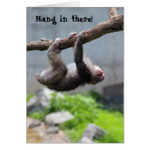 Hang in there Monkey card