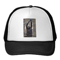 "HANG IN THERE!"  MONKEY hats