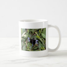 HANG IN THERE MUG