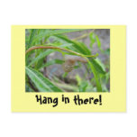 Hang in there! postcard