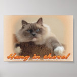 Hang in There! Poster