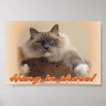 Hang in There! Poster