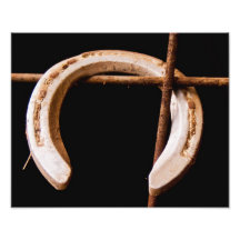 Hang it Up Photographic Print