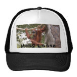 Hang Loose Hat