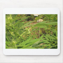 hang ten 420 cannabis mouse pad pads shirts weed