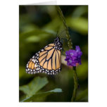 Hangin' Out Greeting Card