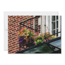 Hanging Baskets on Fire Escape
